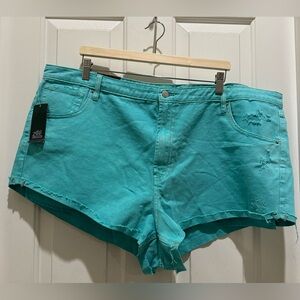 Wild Fable highest rise cheeky shorts size 20
5/$25